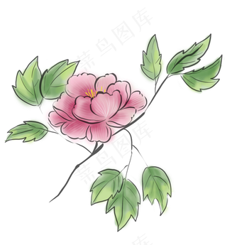 古风粉牡丹,免抠元素