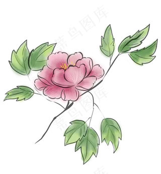 古风粉牡丹,免抠元素
