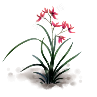 水墨古风兰花