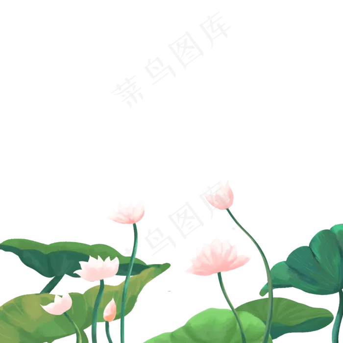 荷花荷叶自然(2000X2000(DPI:300))psd模版下载