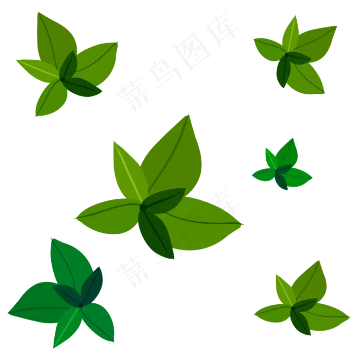 杨桃树上绿色植物叶子(2000X2000(DPI:299))psd模版下载
