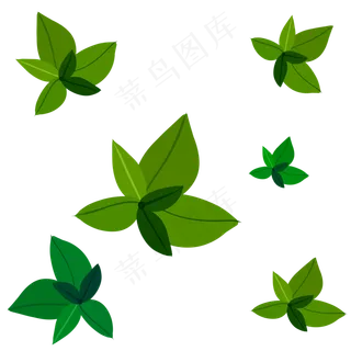 杨桃树上绿色植物叶子