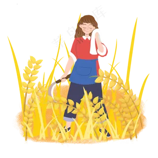 芒种麦田割麦子女孩png素材