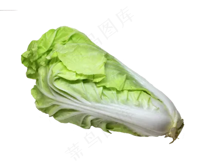 大白菜蔬菜免扣 大白菜蔬菜免扣