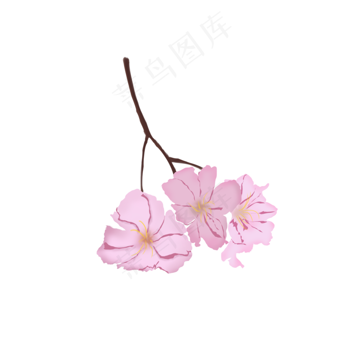 樱花花瓣树枝盛开(2000X2000(DPI:300))psd模版下载