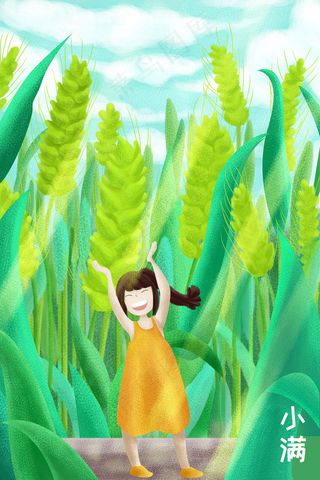 二十四节气小满配图