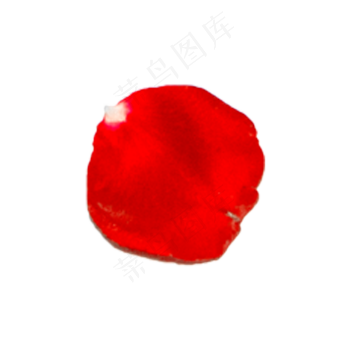 玫瑰花瓣实拍（png免抠）(2000X2000(DPI:72))psd模版下载