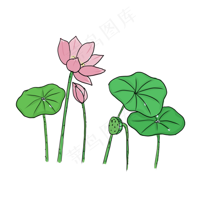 手绘中国风荷花PNG素材(2000X2000(DPI:300))psd模版下载