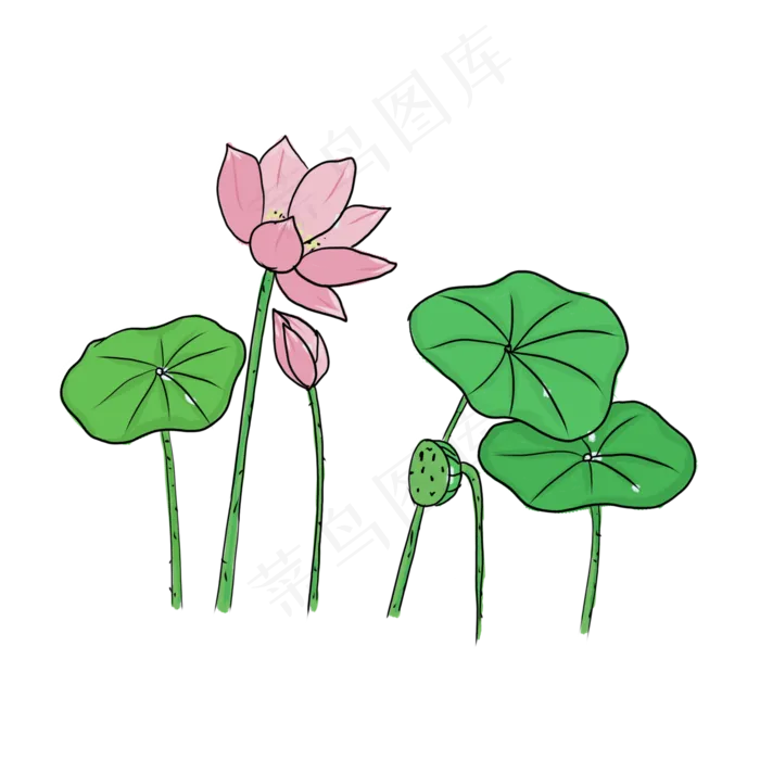 手绘中国风荷花PNG素材(2000X2000(DPI:300))psd模版下载