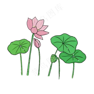 手绘中国风荷花PNG素材