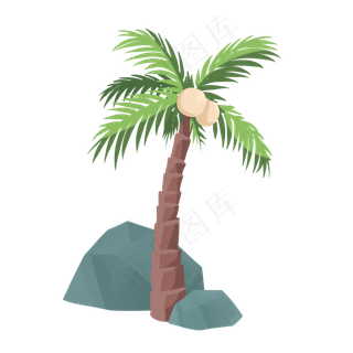 夏季海边植物椰子树