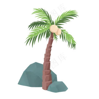 夏季海边植物椰子树