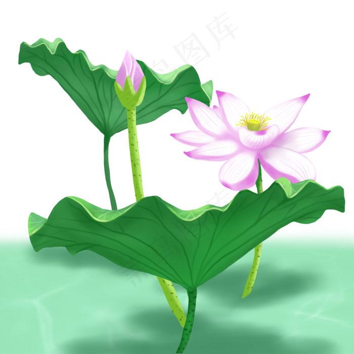 荷花春夏荷塘景色荷叶(2000X2000(DPI:300))psd模版下载