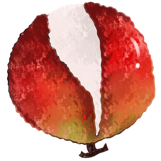 清新水果妃子笑荔枝