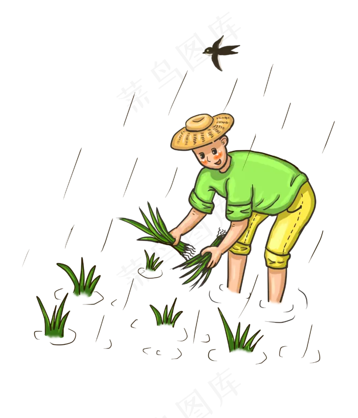 谷雨插秧的小男孩(3000X3500(DPI:300))psd模版下载