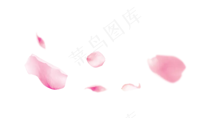 漂浮粉色花瓣,免抠元素(1105*620px 72 dpi )