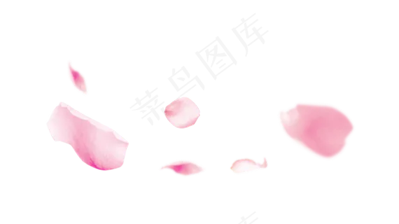 漂浮粉色花瓣,免抠元素