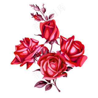 红色玫瑰花png素材