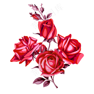 红色玫瑰花png素材