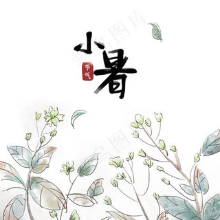 小暑二十四节气手绘茉莉花