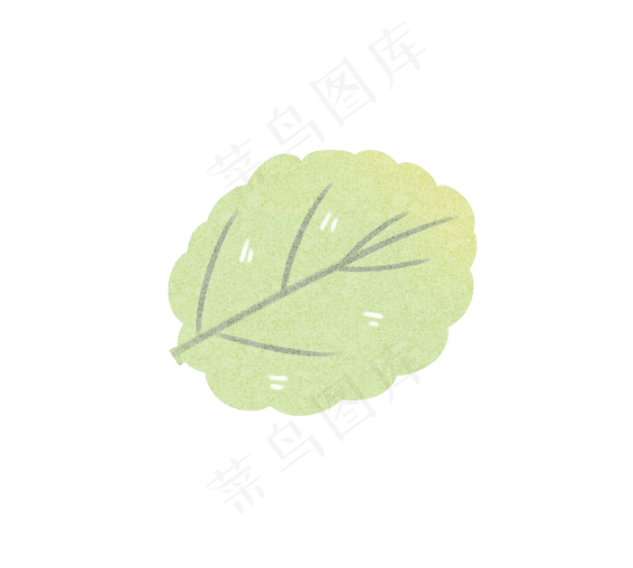 绿色环保生活植物树叶叶子