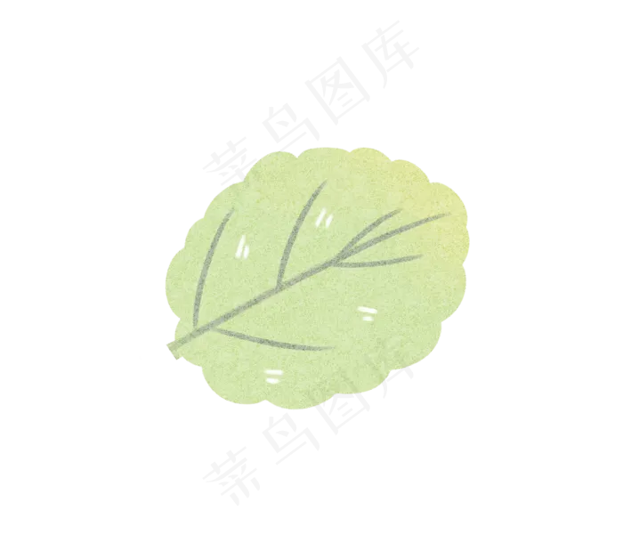 绿色环保生活植物树叶叶子(1110X996(DPI:300))psd模版下载