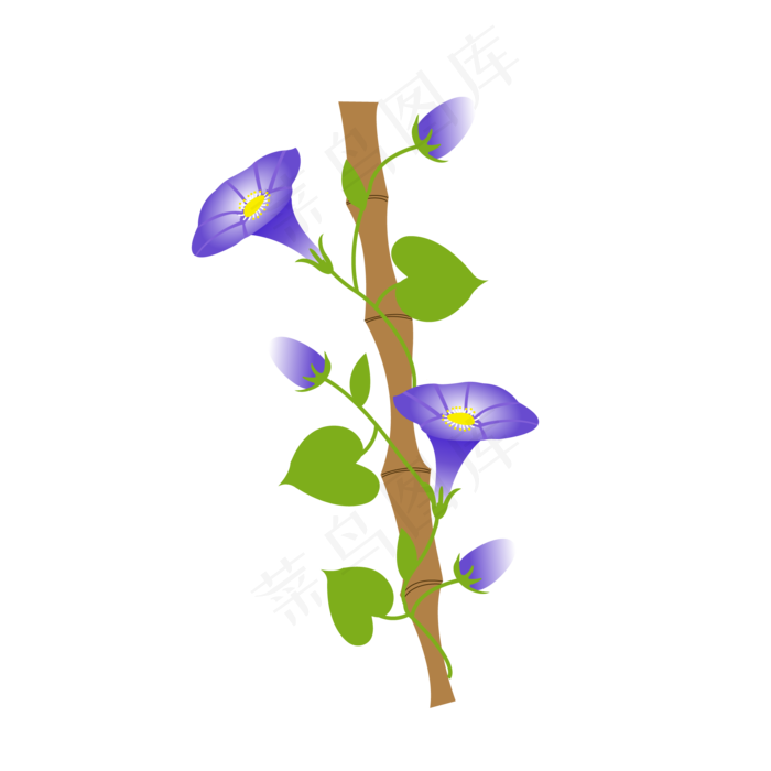 卡通手绘牵牛花矢量图