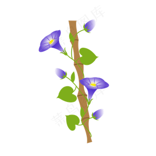 卡通手绘牵牛花矢量图