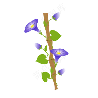 卡通手绘牵牛花矢量图