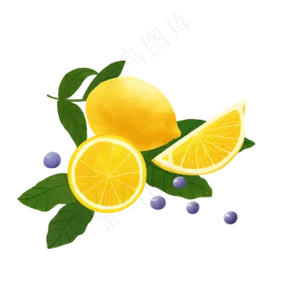 水果鲜果柠檬PNG夏日蓝莓酸