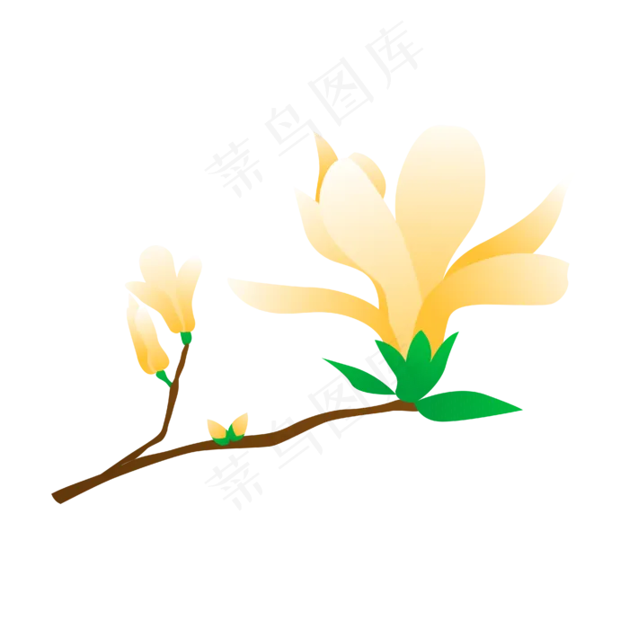矢量免扣卡通玉兰花,免抠元素(4167*4167px 300 dpi )ai矢量模版下载