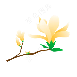矢量免扣卡通玉兰花,免抠元素