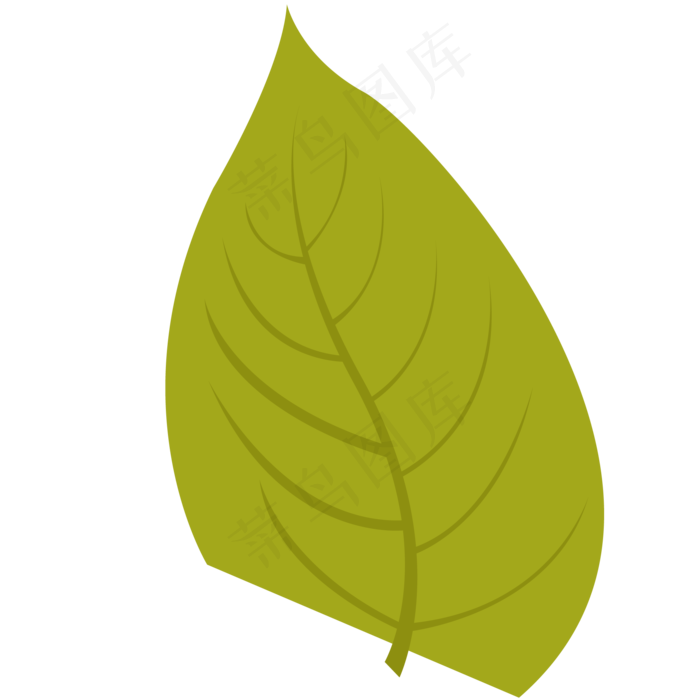 绿叶的绿色春季植物(2000X2000(DPI:300))psd模版下载