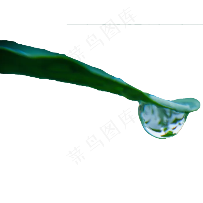 绿叶上的水滴(2000X2000(DPI:300))psd模版下载