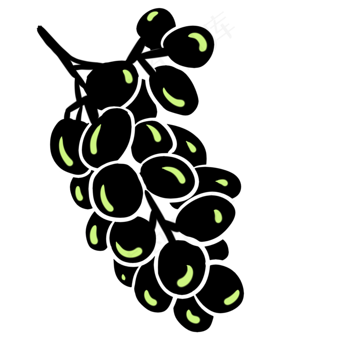 葡萄培育叶子甜味水果