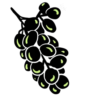 葡萄培育叶子甜味水果