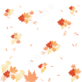 黄色枫叶漂浮素材