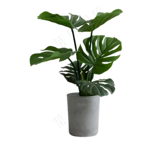 卡通盆栽鲜花下载