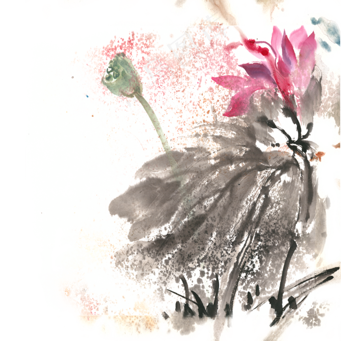 娇艳荷花水墨画PNG免抠素材
