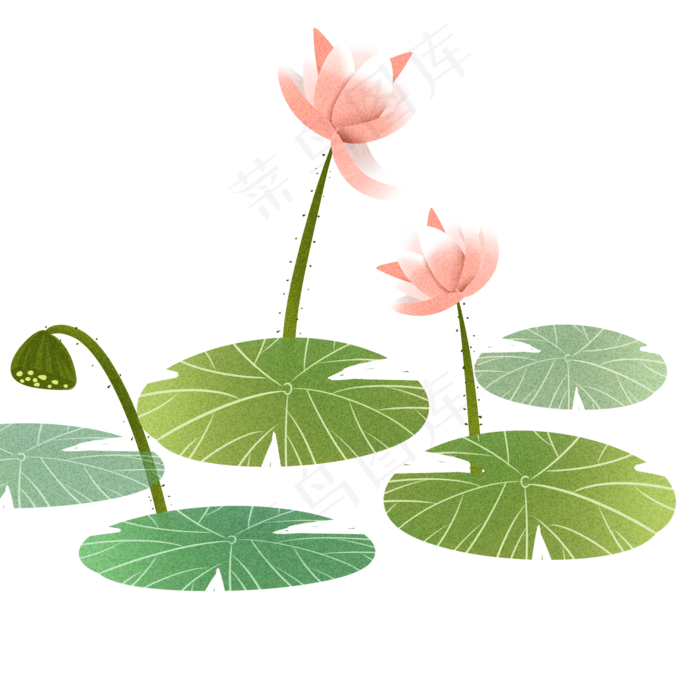 手绘小清新水彩荷花透明底免抠(2000X2000(DPI:299))psd模版下载