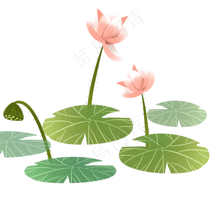 手绘小清新水彩荷花透明底免抠(2000X2000(DPI:299))psd模版下载