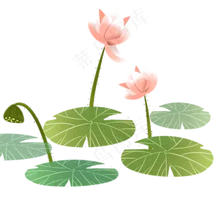 手绘小清新水彩荷花透明底免抠