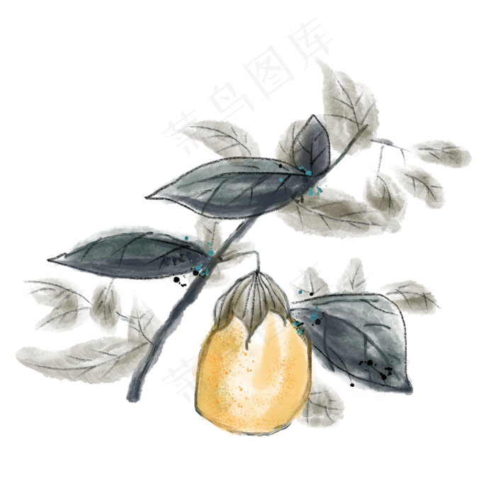 水墨中国风梨子