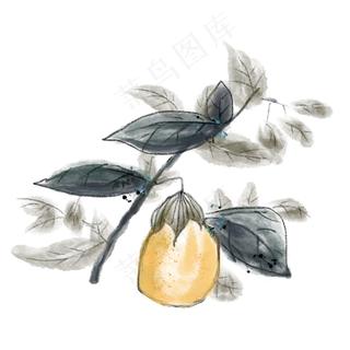 水墨中国风梨子