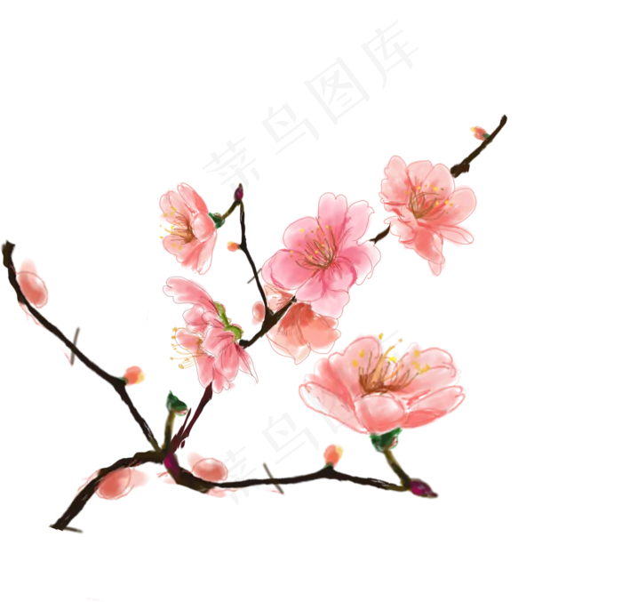 粉红色手绘风桃花可商用,免抠元素