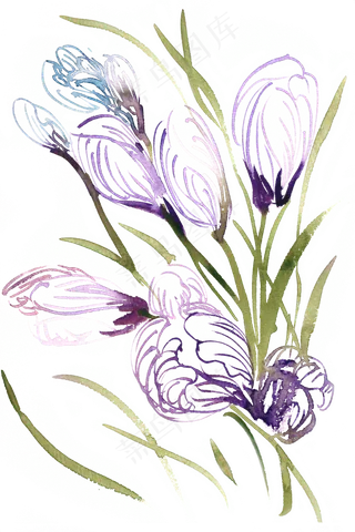 紫色的花水彩画PNG免抠素材
