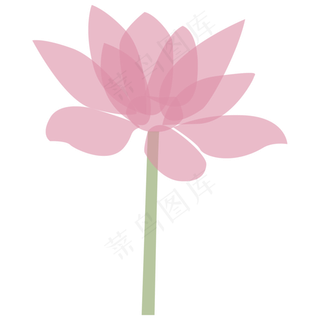 一支盛开的粉色荷花免抠图