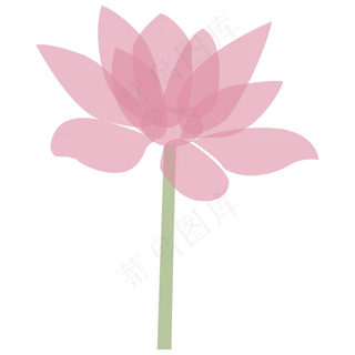 一支盛开的粉色荷花免抠图