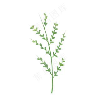 春天绿色水彩树叶