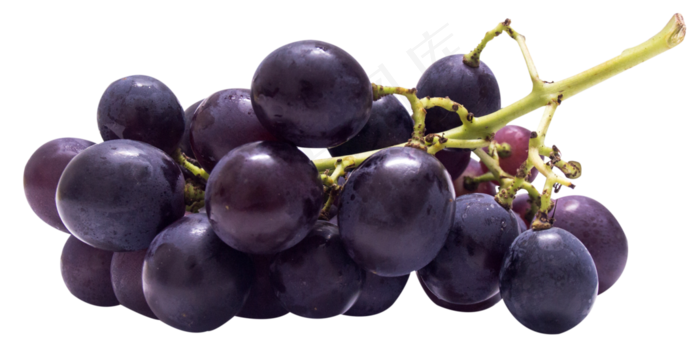 新鲜葡萄